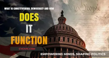 Constitutional Democracy: Functioning of a Democratic Government