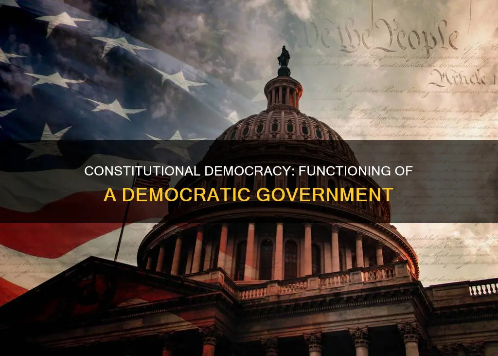 what is constitutional democracy and how does it function