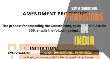 India's Constitution: Provisions and Promises