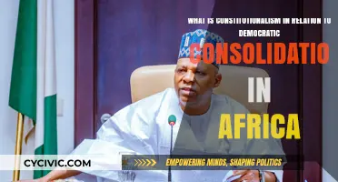 Constitutionalism: Africa's Democratic Consolidation Challenge