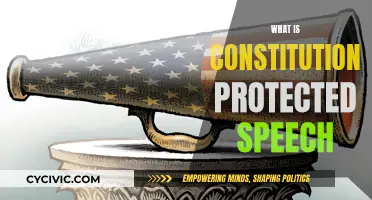 Understanding Free Speech: What's Protected Under the Constitution?