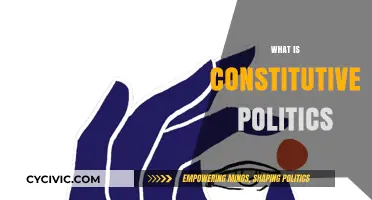 Understanding Constitutive Politics: Shaping Identities, Power, and Social Structures