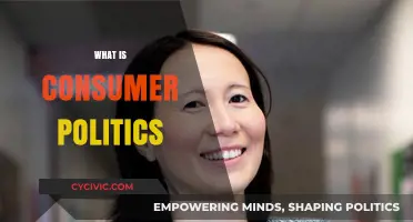 Understanding Consumer Politics: Power, Choices, and Market Influence Explained