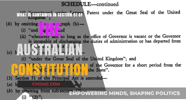 Australian Constitution: Section 51 Powers Explained