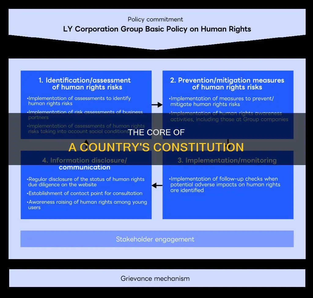 what is contained in the constitution of a country