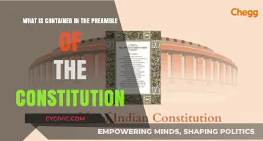 The Preamble: Constitution's Core Principles