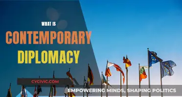 Diplomacy's Evolution: Understanding Contemporary Practice