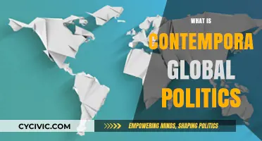Understanding Contemporary Global Politics: Trends, Challenges, and Shifting Power Dynamics