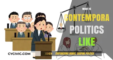 Contemporary Politics: Polarization, Globalization, and the Digital Age's Impact