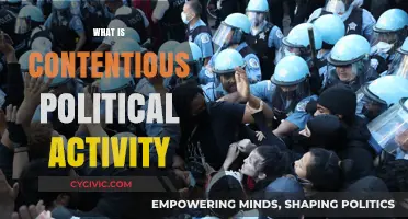 Understanding Contentious Political Activity: Causes, Impacts, and Societal Implications