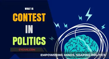 Understanding Political Contests: Strategies, Impact, and Electoral Dynamics Explained