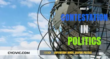 Understanding Political Contestation: Definitions, Dynamics, and Democratic Implications