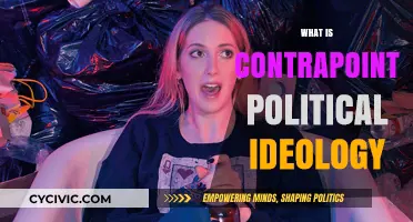 Understanding ContraPoints' Political Philosophy: A Deep Dive into Her Views