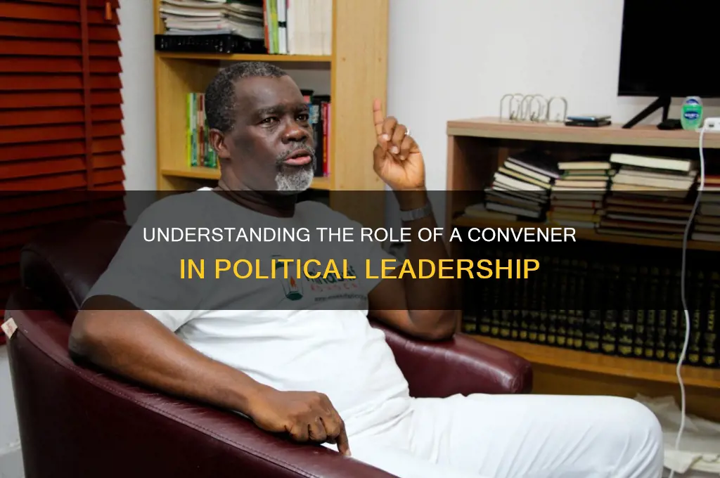 what is convener in politics