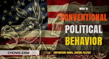 Understanding Conventional Political Behavior: Norms, Practices, and Societal Expectations