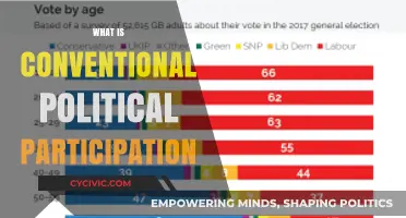 Understanding Conventional Political Participation: Methods, Impact, and Civic Engagement