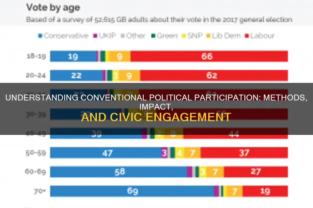 what is conventional political participation