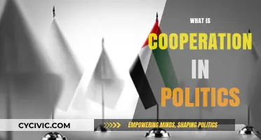 Understanding Political Cooperation: Strategies for Unity in Governance