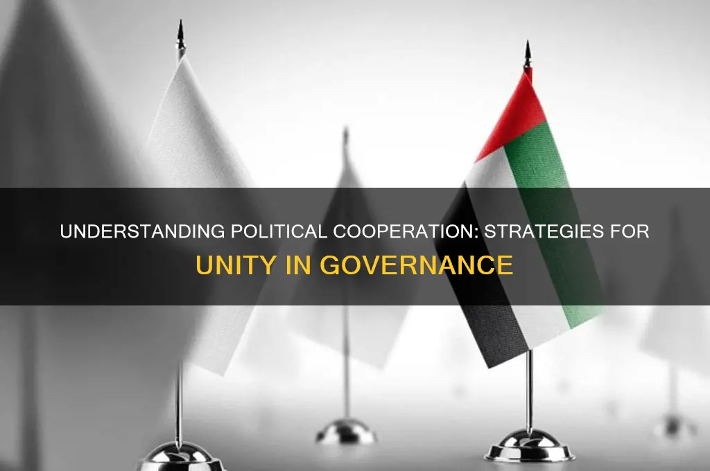 what is cooperation in politics