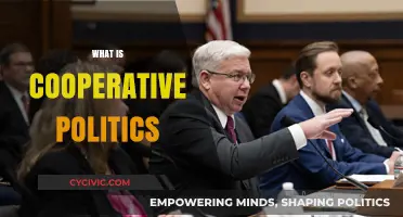 Understanding Cooperative Politics: Collaboration, Consensus, and Shared Governance Explained
