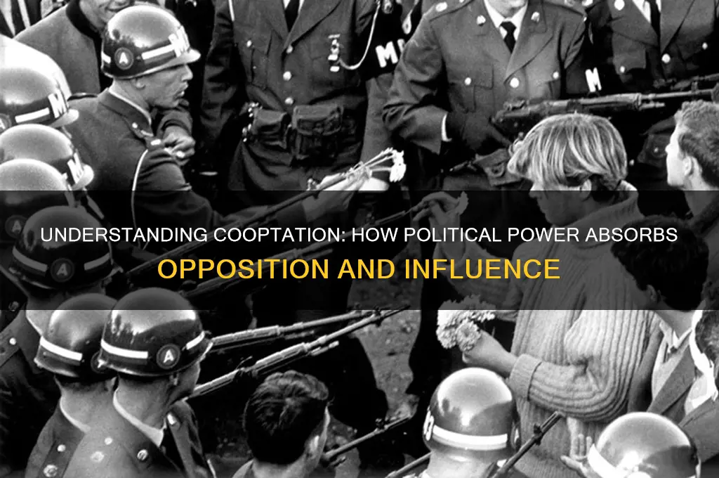 what is cooptation in politics