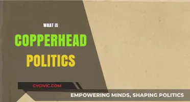 Understanding Copperhead Politics: Origins, Impact, and Modern Relevance Explained