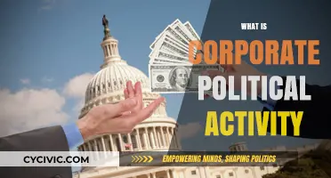 Understanding Corporate Political Activity: Strategies, Impacts, and Ethical Considerations