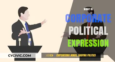 Understanding Corporate Political Expression: Impact, Ethics, and Public Perception