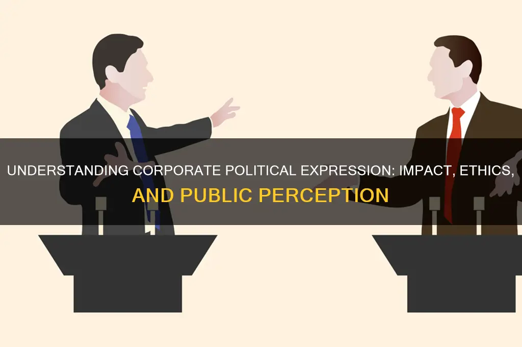 what is corporate political expression