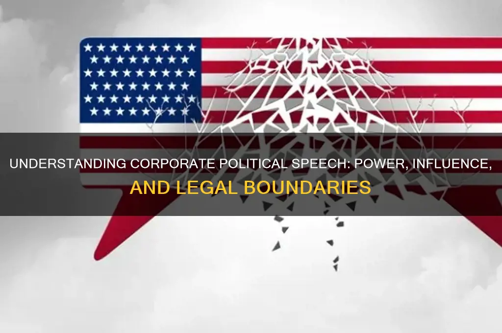 what is corporate political speech