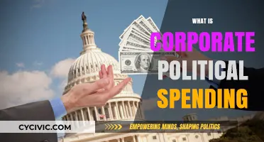Understanding Corporate Political Spending: Influence, Impact, and Transparency