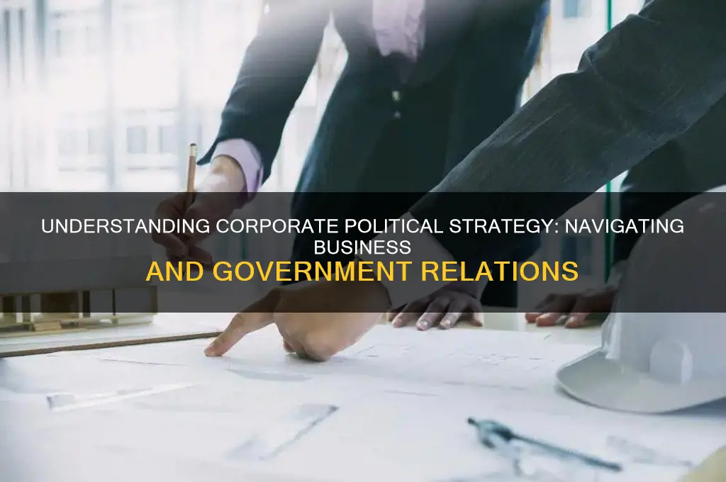 what is corporate political strategy