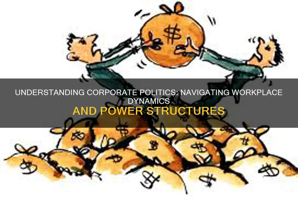 what is corporate politics