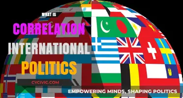 Understanding Correlation in International Politics: Dynamics, Impacts, and Global Interdependence