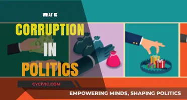 Unveiling Political Corruption: Causes, Consequences, and Global Impact Explained