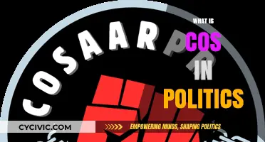 Understanding the Role and Impact of COS in Political Systems