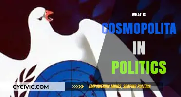 Understanding Cosmopolitanism: A Global Political Philosophy Explained