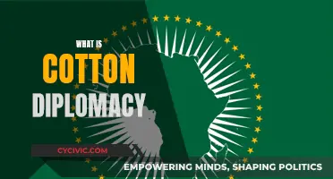 Cotton Diplomacy: Understanding America's Soft Power Strategy