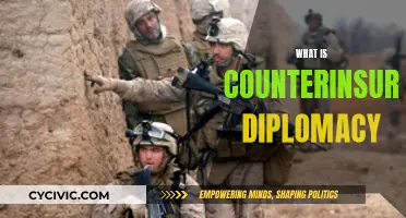 Counterinsurgency Diplomacy: A Complex Strategy for Stability