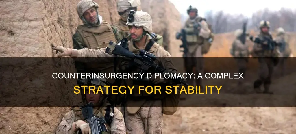 what is counterinsurgency diplomacy