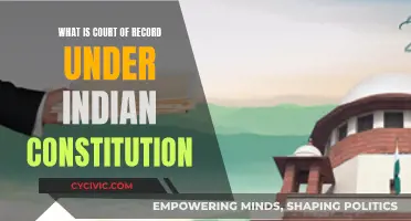 Understanding India's Court of Record Constitutional Provision