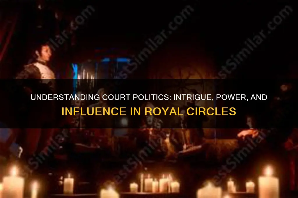 what is court politics