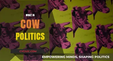 Understanding Cow Politics: The Intersection of Culture, Economy, and Power