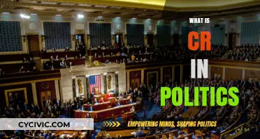 Understanding CR: The Role of Continuing Resolutions in Political Governance