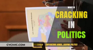 Understanding Political Cracking: Strategies, Impacts, and Ethical Concerns