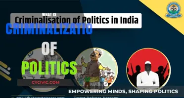 Understanding the Criminalization of Politics: Causes, Effects, and Solutions