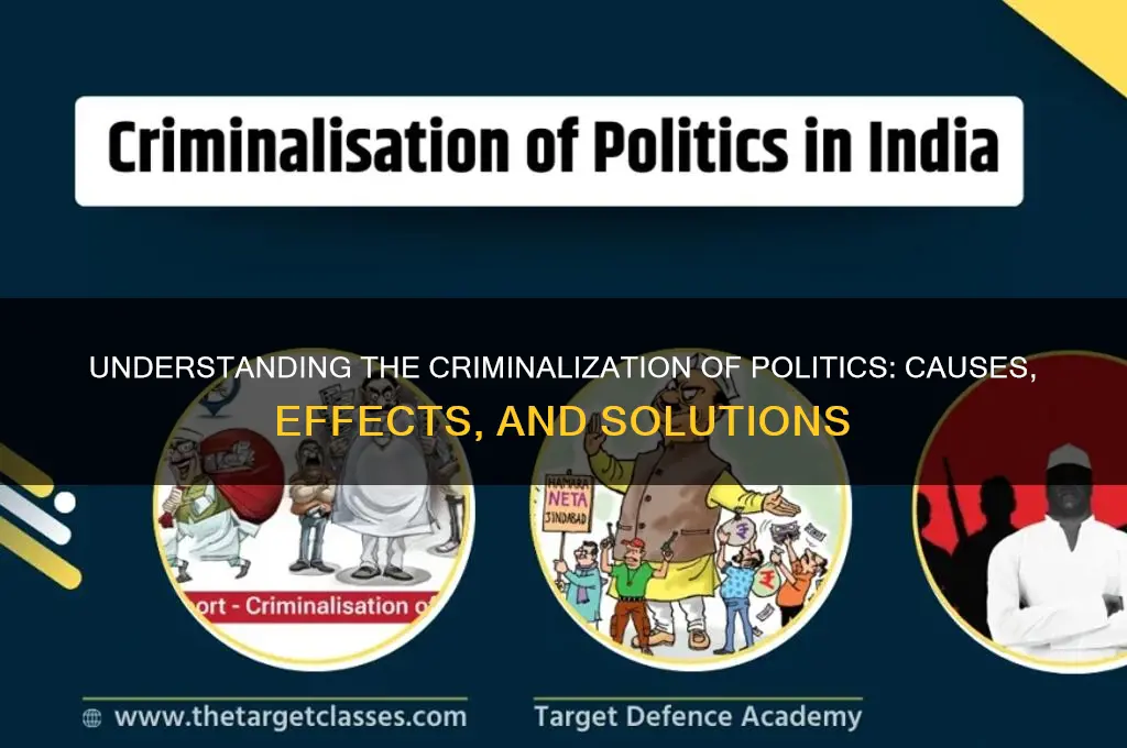 what is criminalization of politics