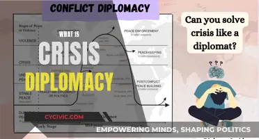 Crisis Diplomacy: Navigating Geopolitics in Turbulent Times