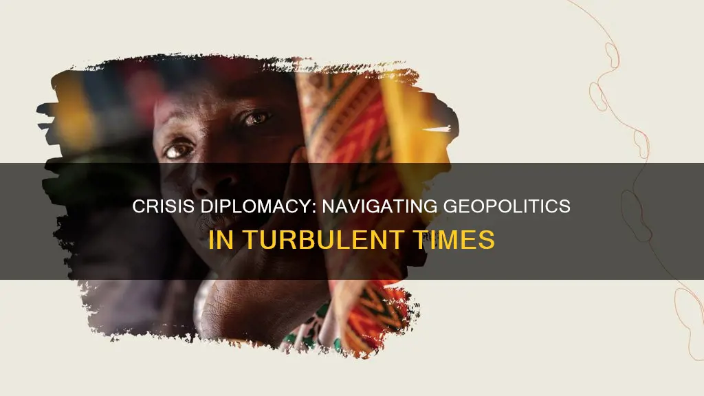 what is crisis diplomacy