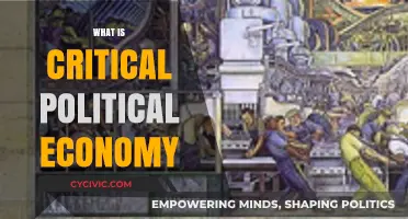 Understanding Critical Political Economy: Power, Inequality, and Global Systems Explained